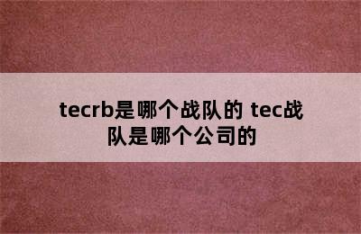 tecrb是哪个战队的 tec战队是哪个公司的